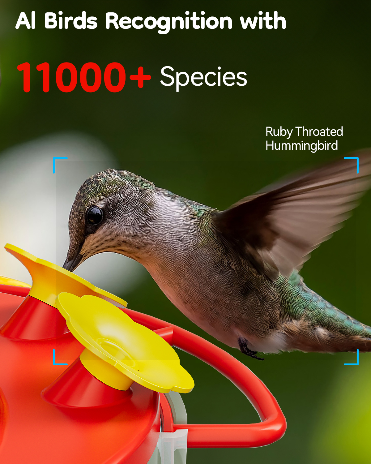 LongPlus® Hummingbird Feeder with Camera, Smart Bird Feeder Camera,Bird Feeders with Ant Moat, Bee Proof, Bird Watching Camera with 3 Feeding Ports,Instant Notification, Ideal Gift for Bird Lovers