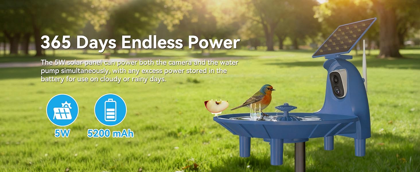 bird bath for outside