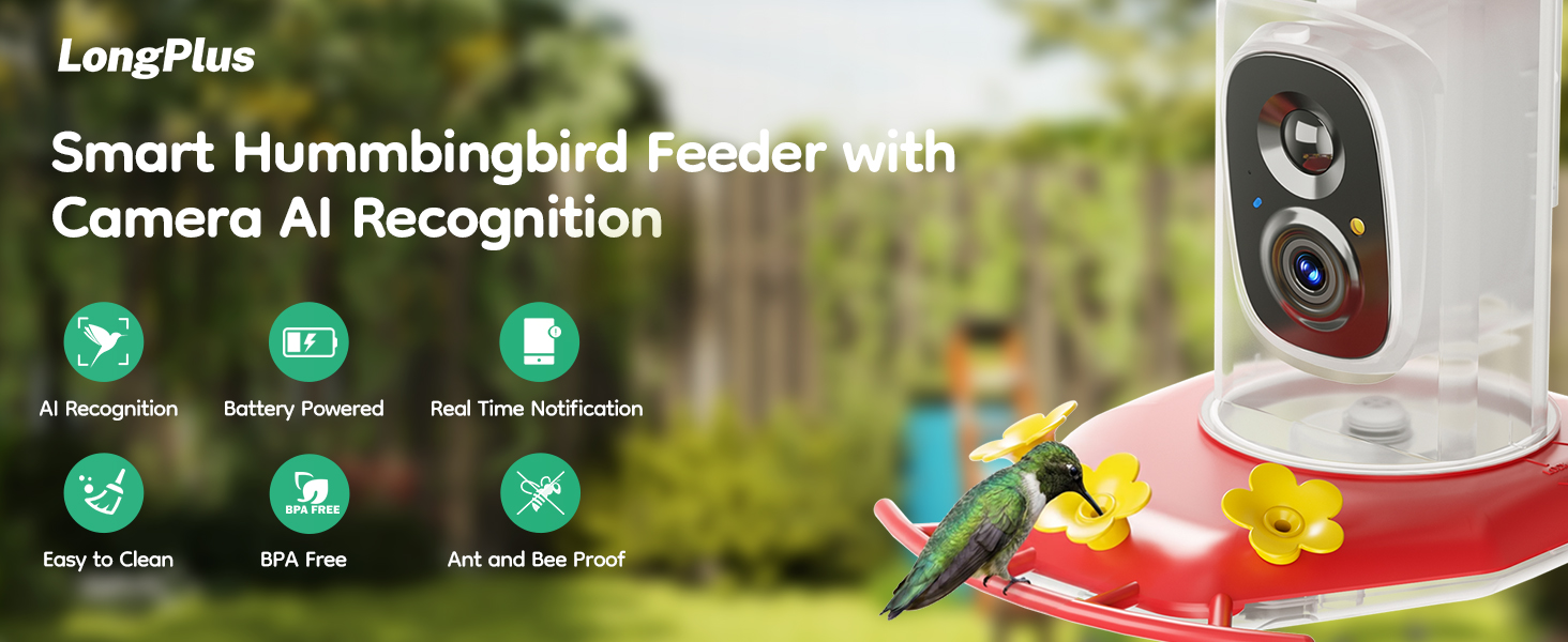 hummingbird feeder