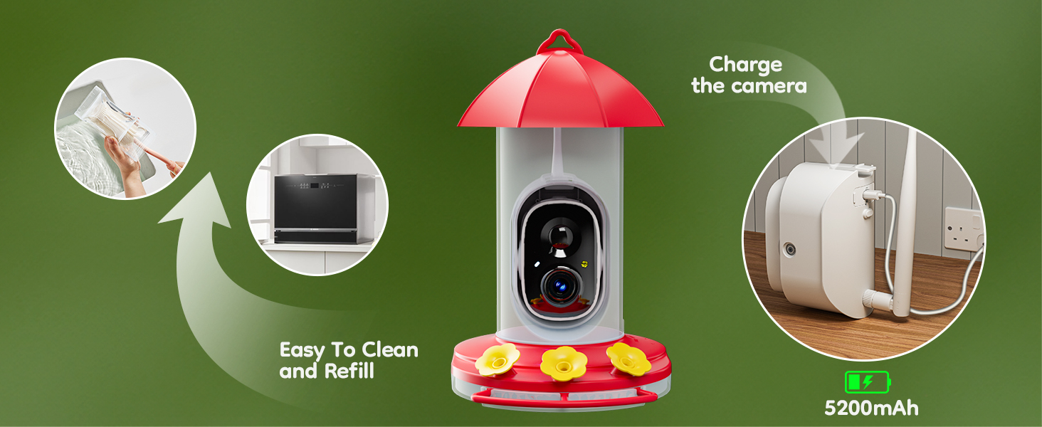 hummingbird camera
