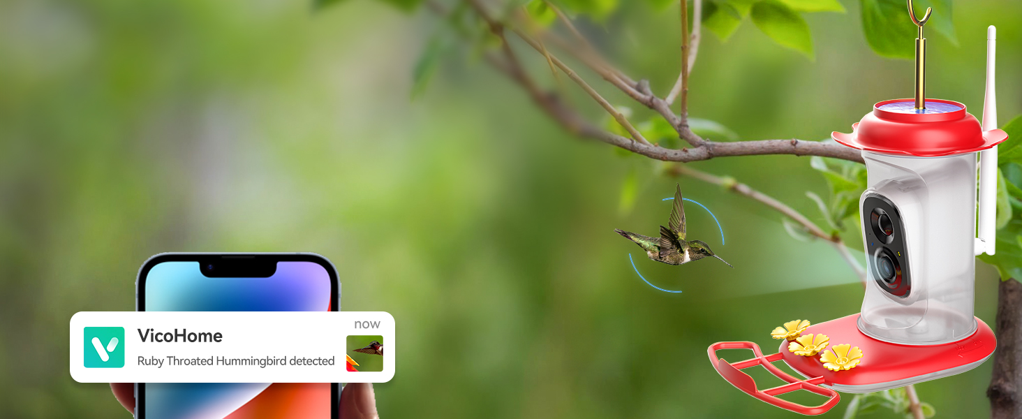 hummingbird camera