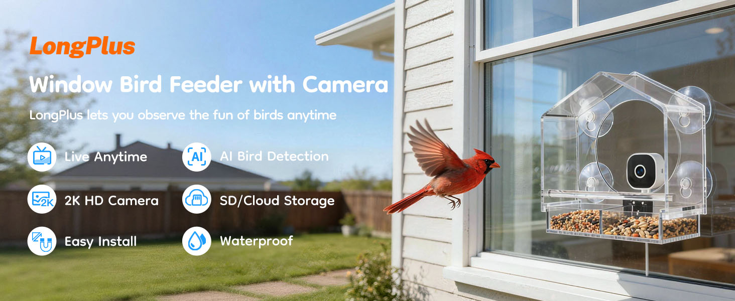 window bird feeder with camera