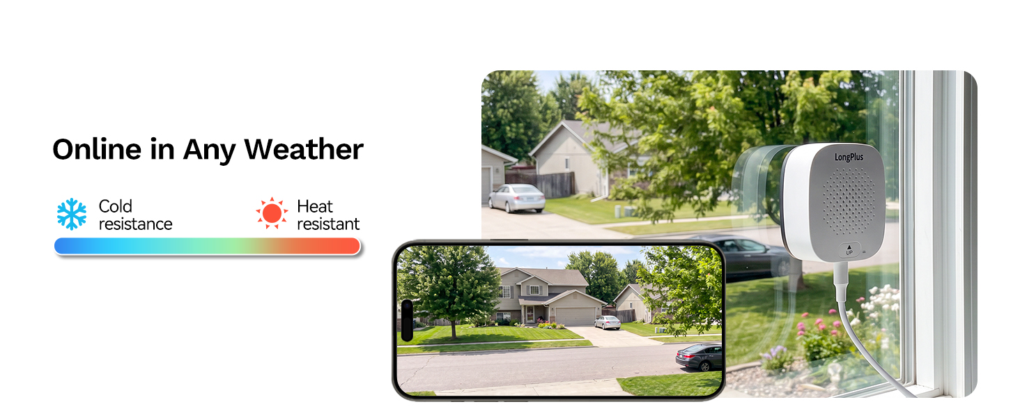 Online in Any Weather
