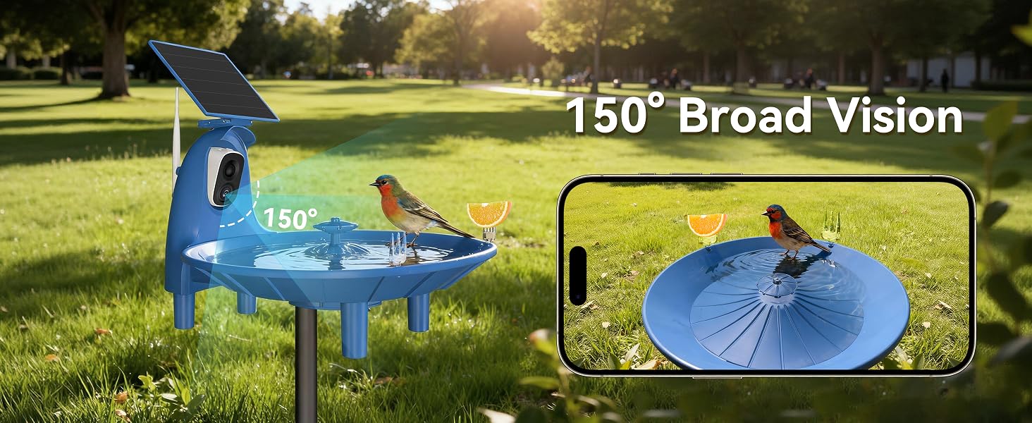 birdbath with outdoor camera