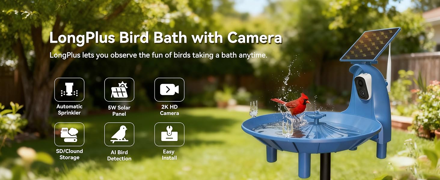 bird bath for outdoor