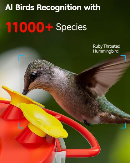 Solar Hummingbird Feeder with Camera for Outdoors, 2K Smart AI Video