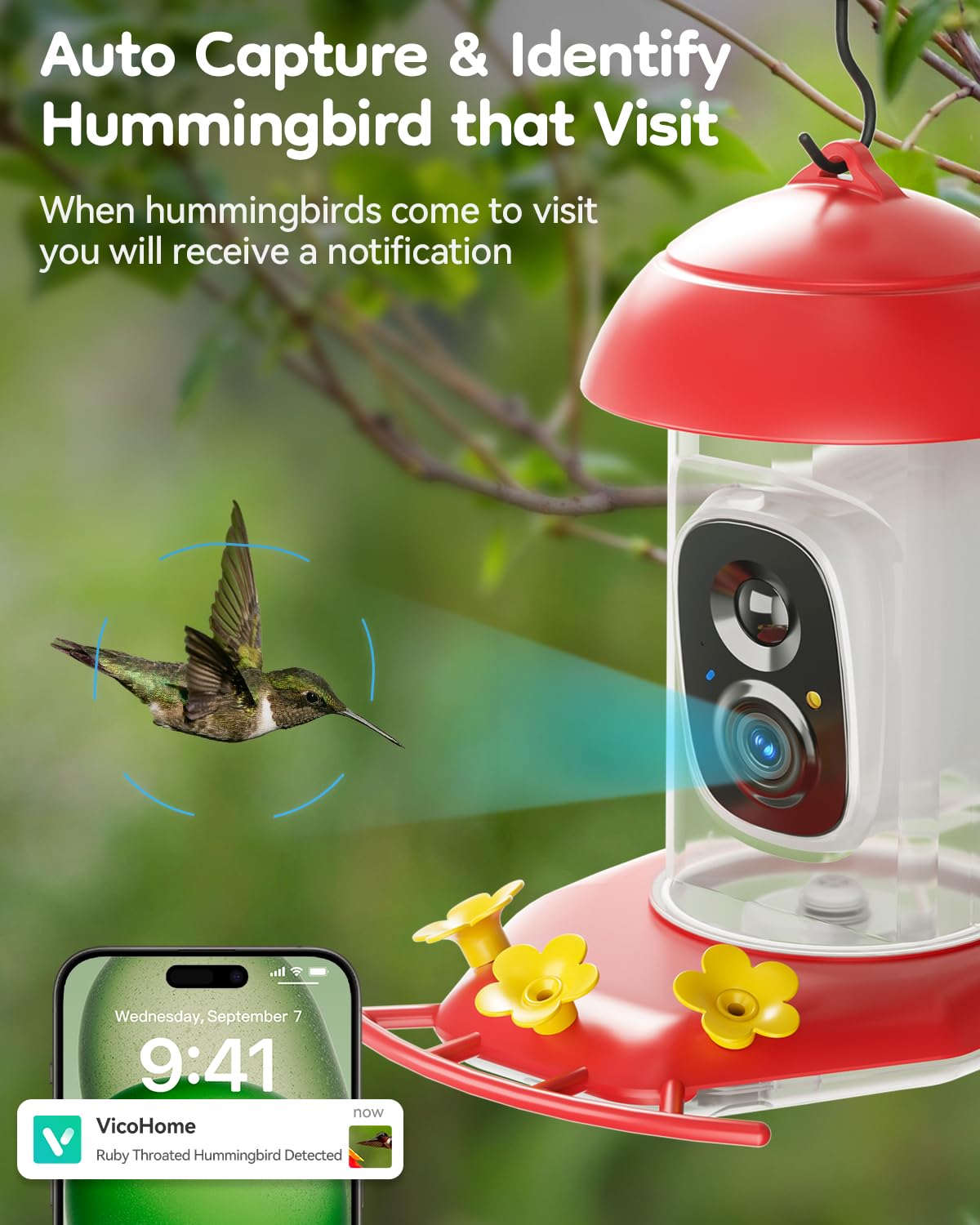 Solar Hummingbird Feeder with Camera for Outdoors, 2K Smart AI Video