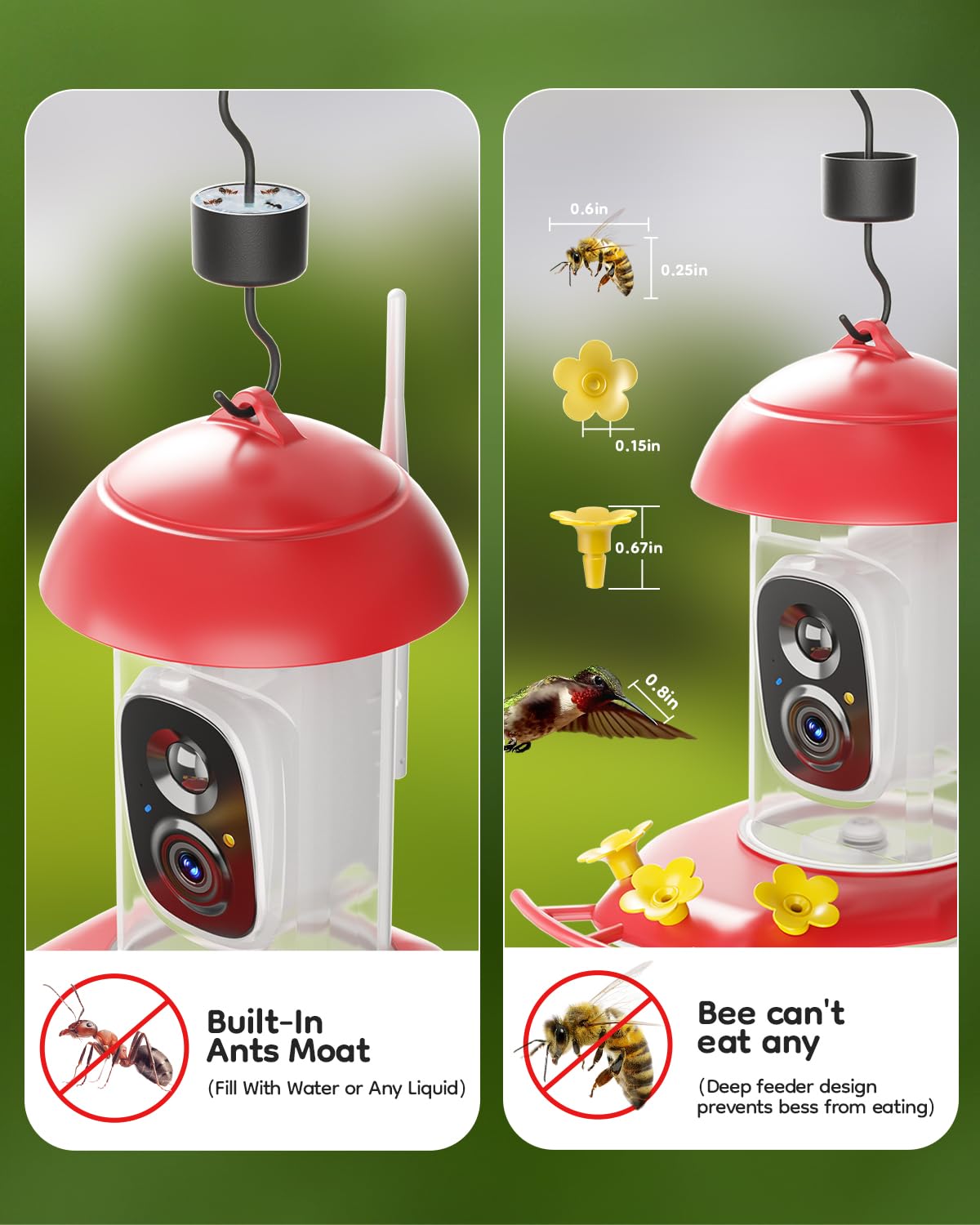 Solar Hummingbird Feeder with Camera for Outdoors, 2K Smart AI Video