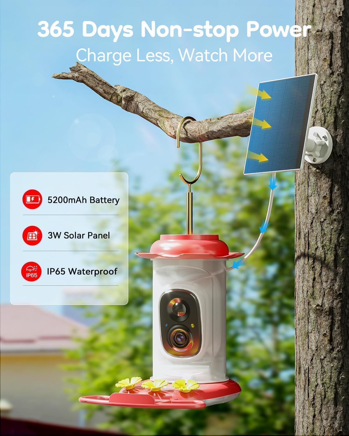 Solar Hummingbird Feeder with Camera, 2K Live View AI Identify Camera