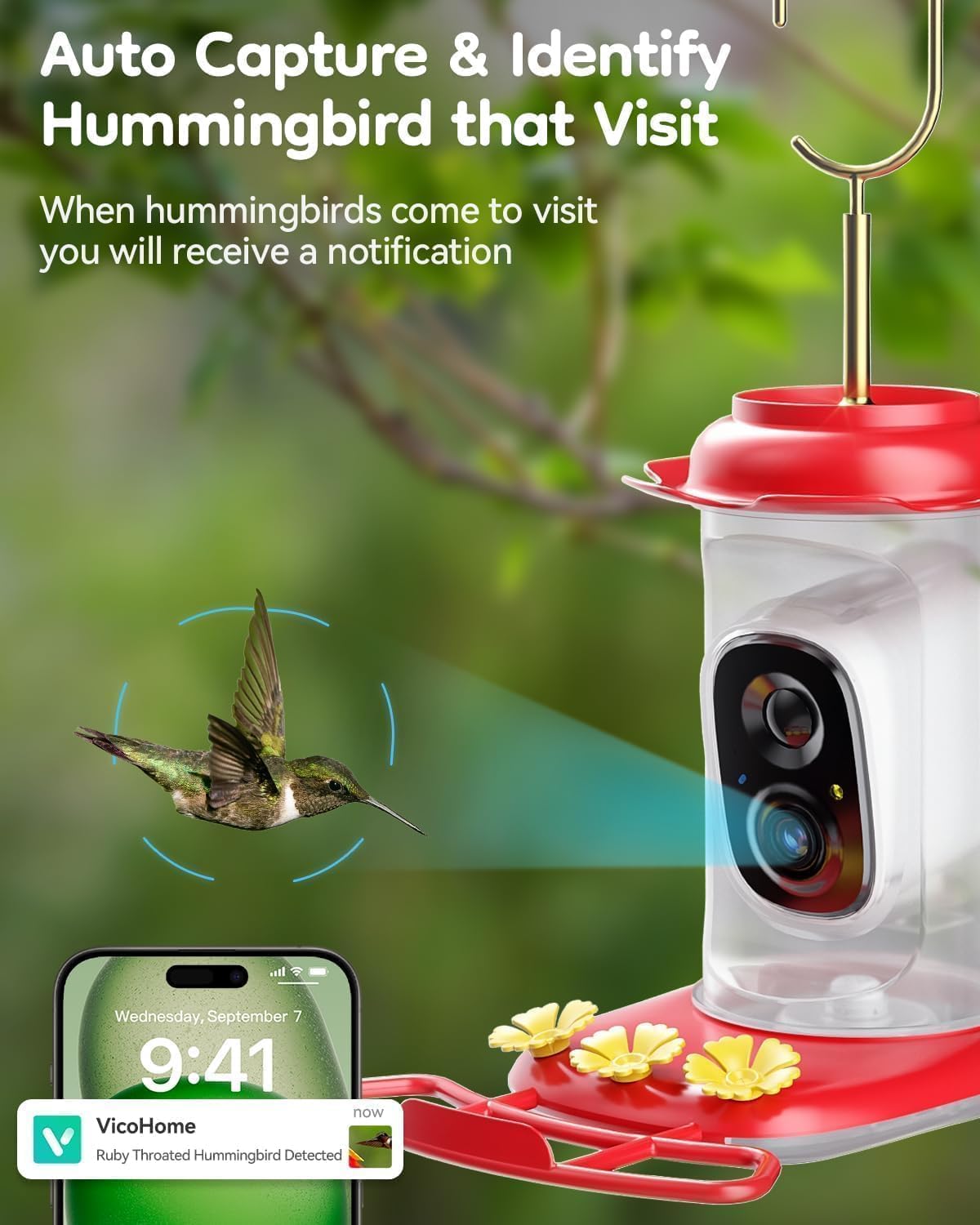 Solar Hummingbird Feeder with Camera, 2K Live View AI Identify Camera