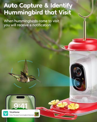 Solar Hummingbird Feeder with Camera, 2K Live View AI Identify Camera