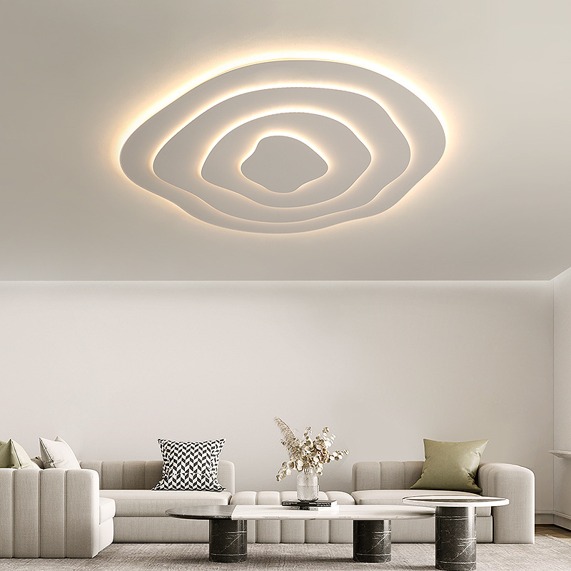 Minimalist Irregular Round Ceiling Lamp Special Shaped LED Lamp
