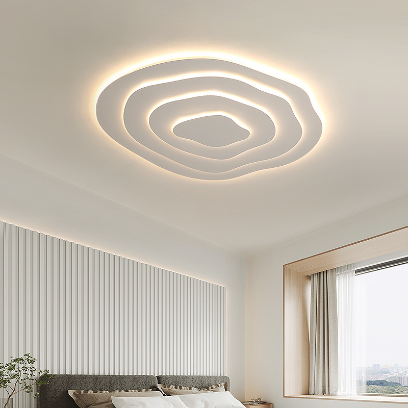 Minimalist Irregular Round Ceiling Lamp Special Shaped LED Lamp