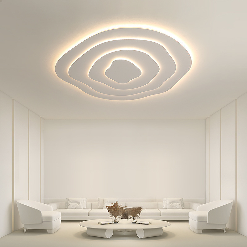 Minimalist Irregular Round Ceiling Lamp Special Shaped LED Lamp-labpiecesign