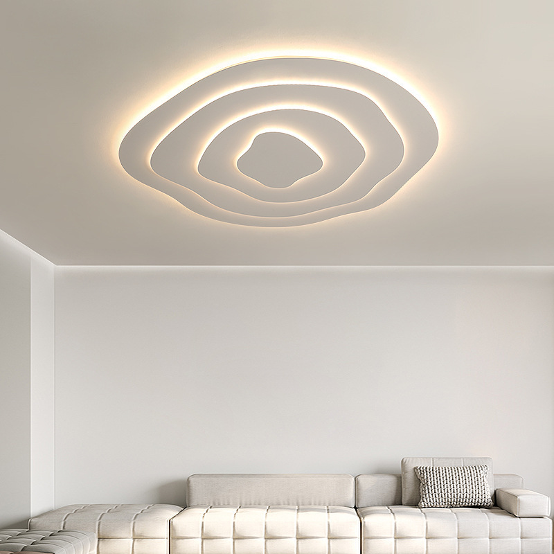 Minimalist Irregular Round Ceiling Lamp Special Shaped LED Lamp-labpiecesign