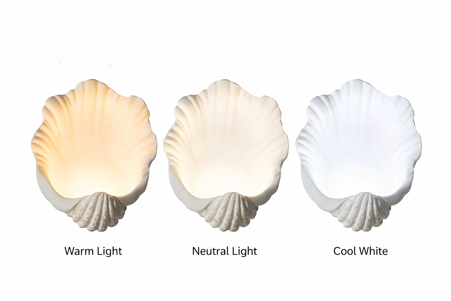 Sculptural Shell Wall Sconce for Bedroom