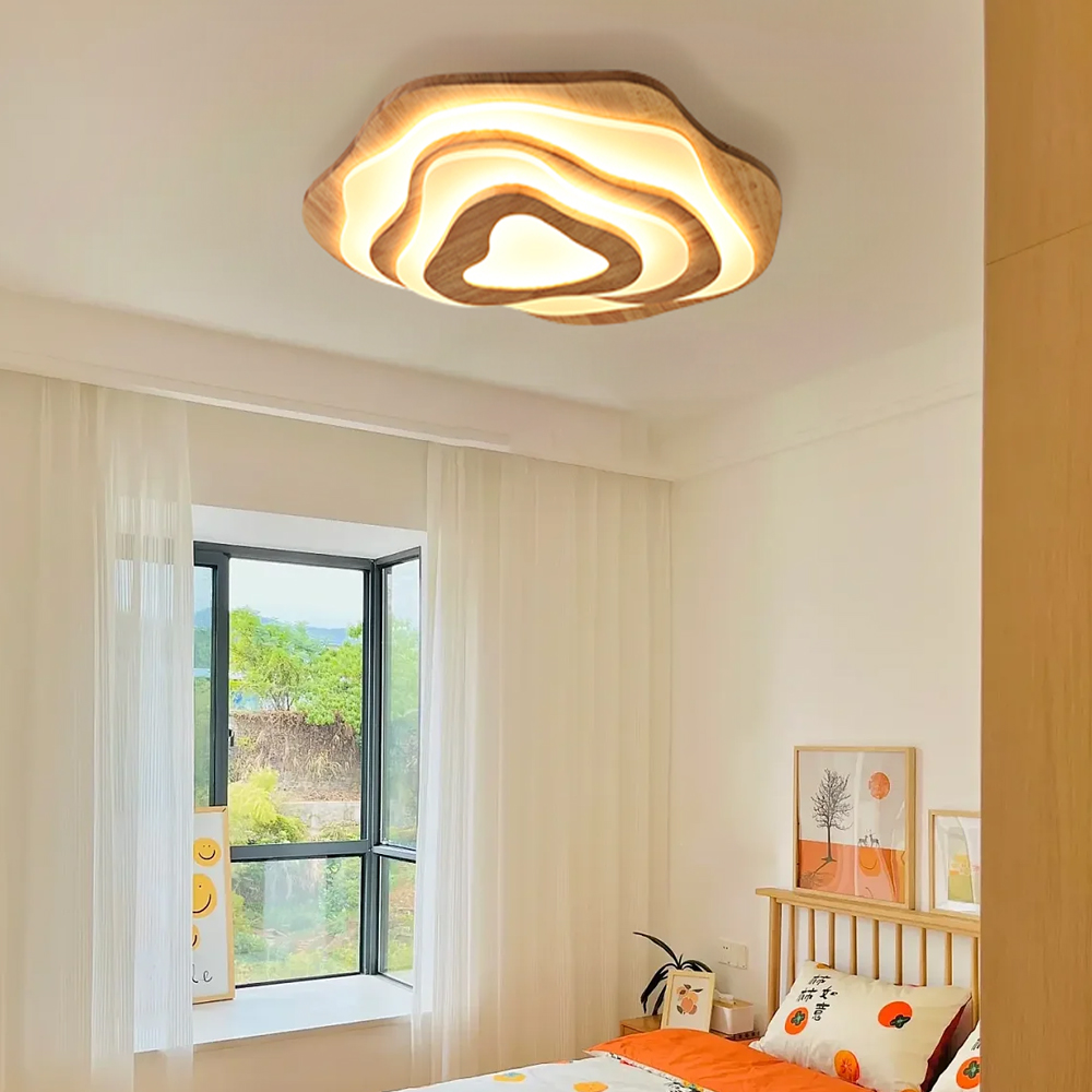 Ceiling Light
