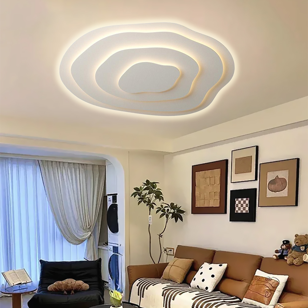 Minimalist Irregular Round Ceiling Lamp Special Shaped LED Lamp