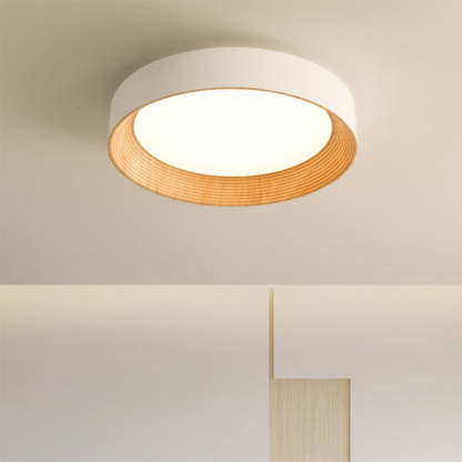 Minimalist LED Round Ceiling Light-labpiecesign