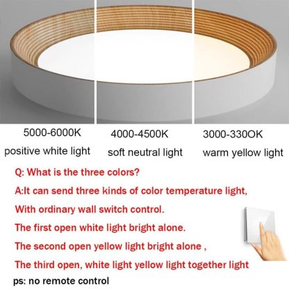 Minimalist LED Round Ceiling Light-labpiecesign