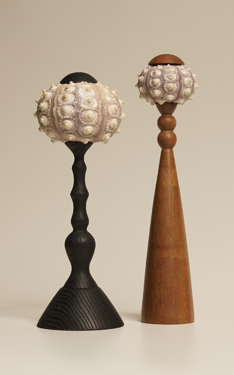 Antique sea urchin lamp atmosphere lamp decorative lamp