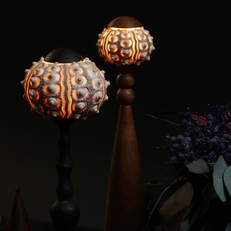 Antique sea urchin lamp atmosphere lamp decorative lamp