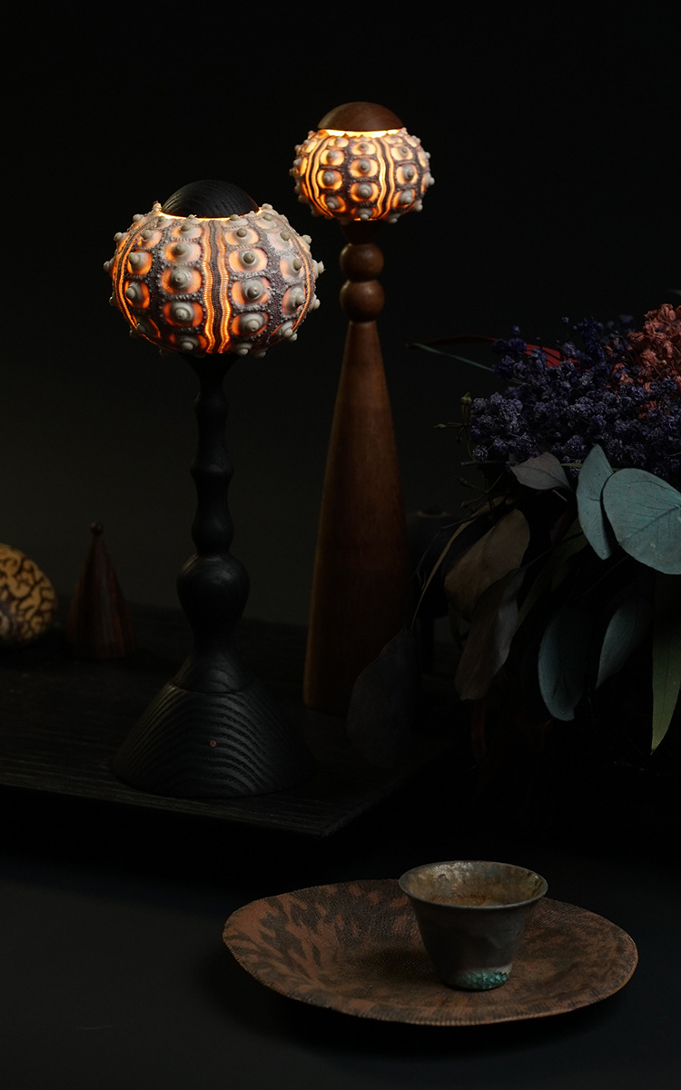 Antique sea urchin lamp atmosphere lamp decorative lamp