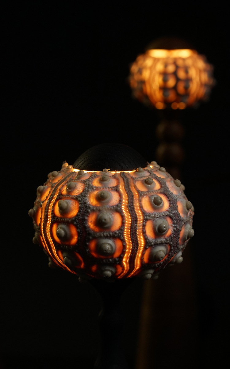 Antique sea urchin lamp atmosphere lamp decorative lamp