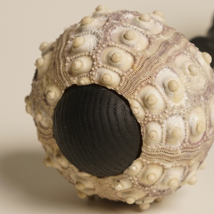 Antique sea urchin lamp atmosphere lamp decorative lamp