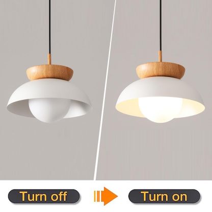 Modern Simple Style Round Droplight-labpiecesign