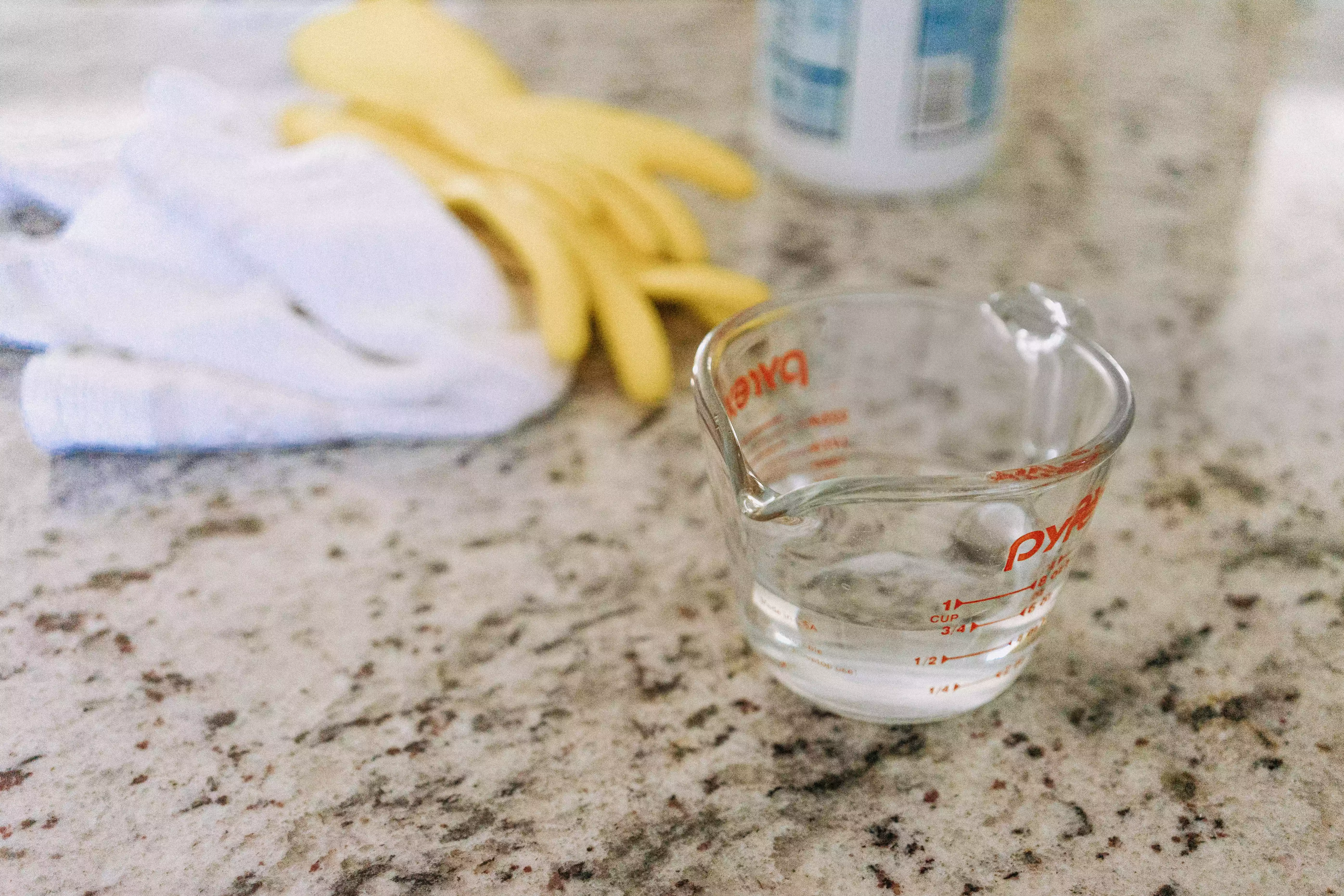 bleach solution and rubber gloves