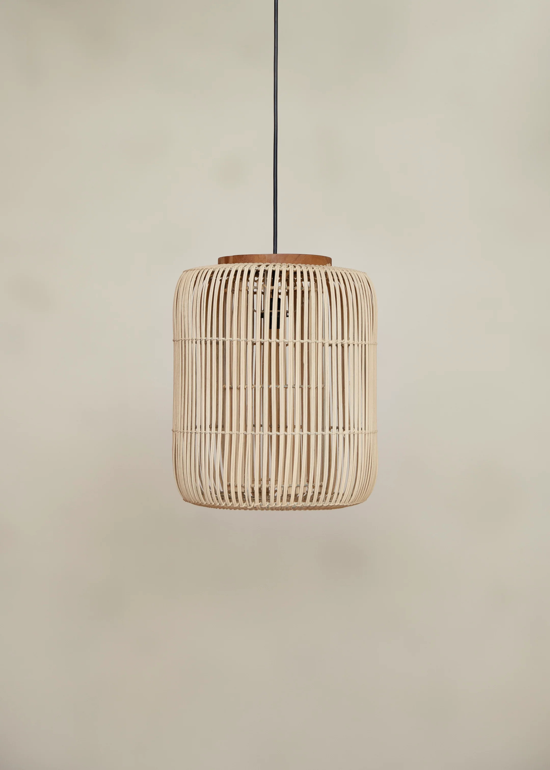 Ebba Pendant