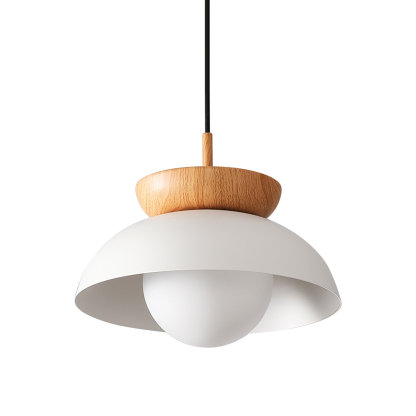 Modern Simple Style Round Droplight-labpiecesign