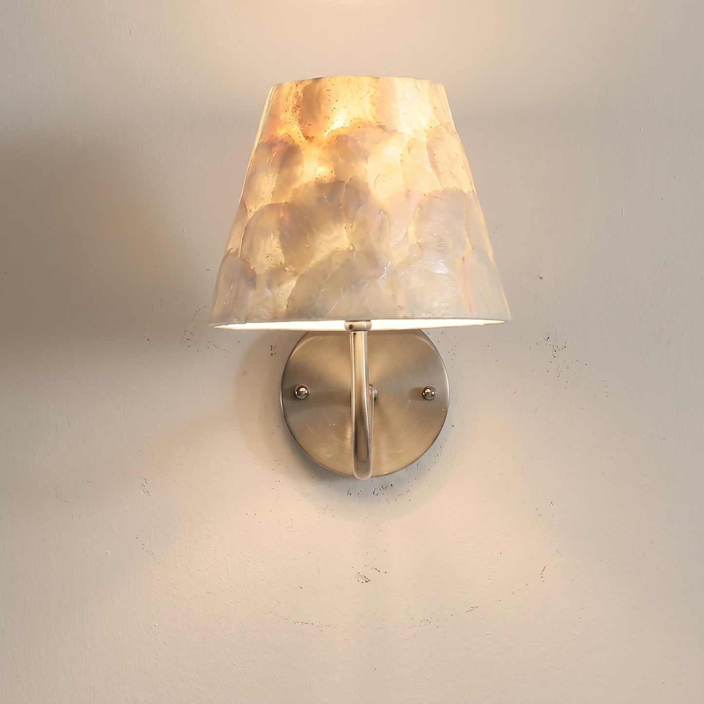 Modern Shell Shade Wall Sconce Elegant Background Accent Light