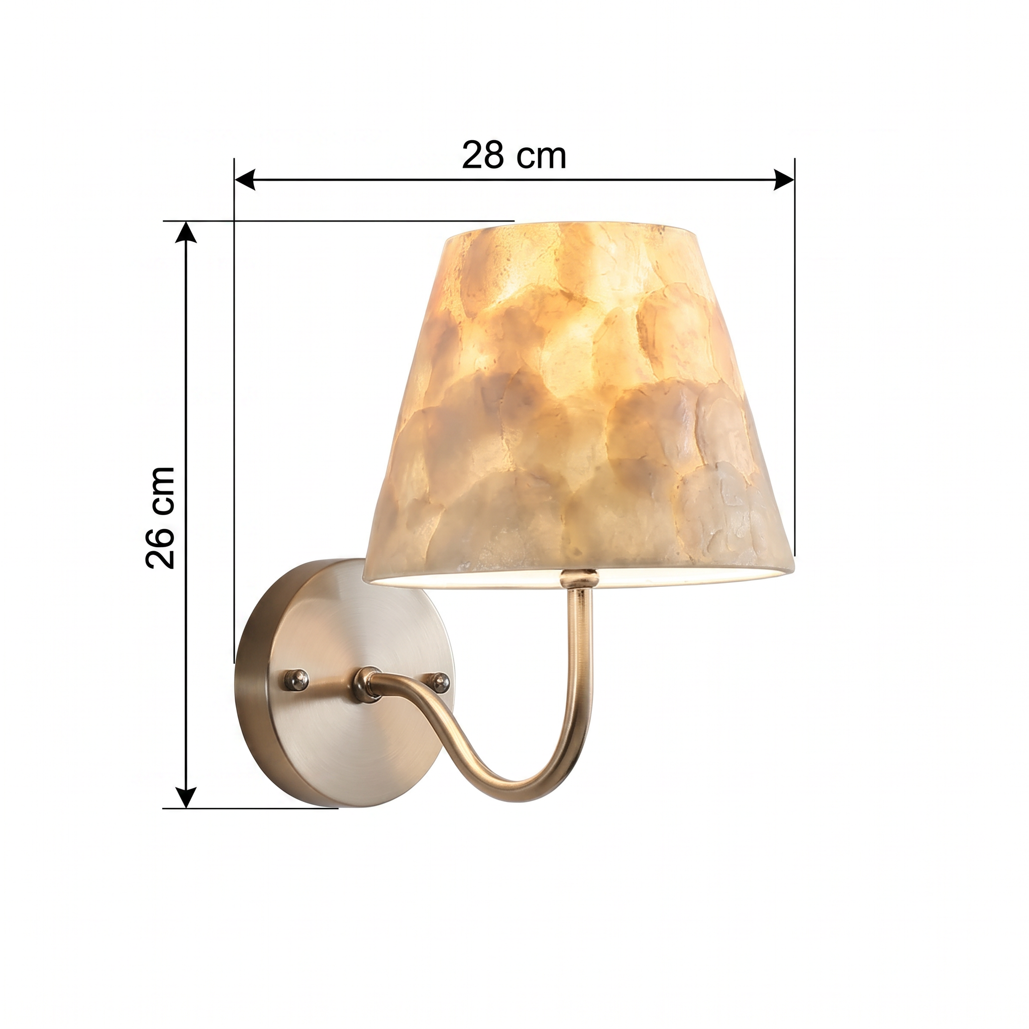 Modern Shell Shade Wall Sconce Elegant Background Accent Light