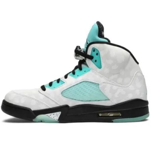 Air Jordan 5 