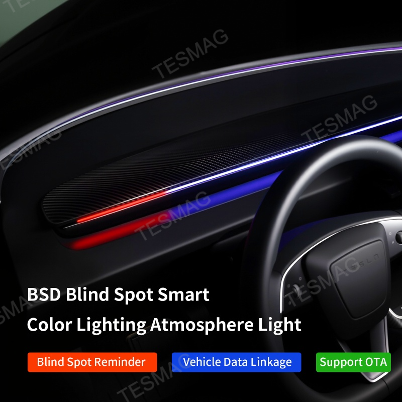 Blind Spot Detection (BSD) Smart Ambient Light for Tesla Model 3/Y