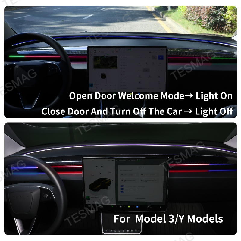 Blind Spot Detection (BSD) Smart Ambient Light for Tesla Model 3/Y