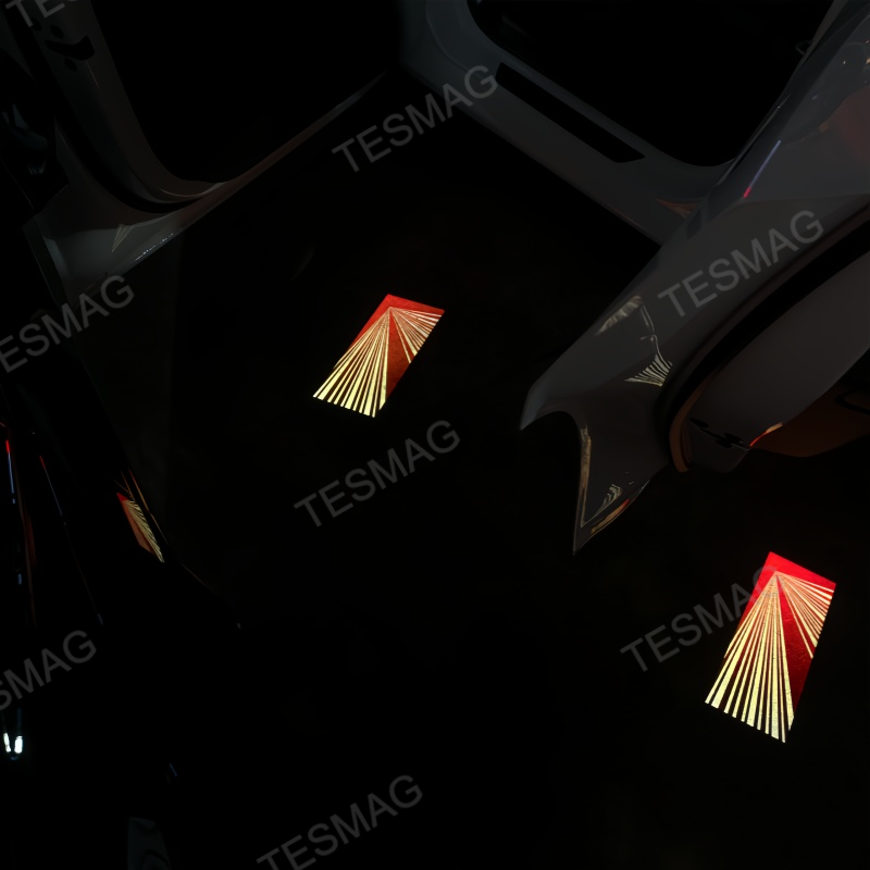 LED Door Projector Lights for Tesla Model 3/Y