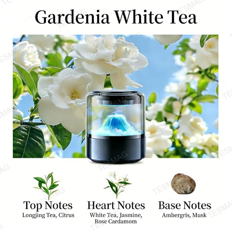 Smart Cloud Mist Car Diffuser with Ambient Light for Tesla Model 3/Y/S/X