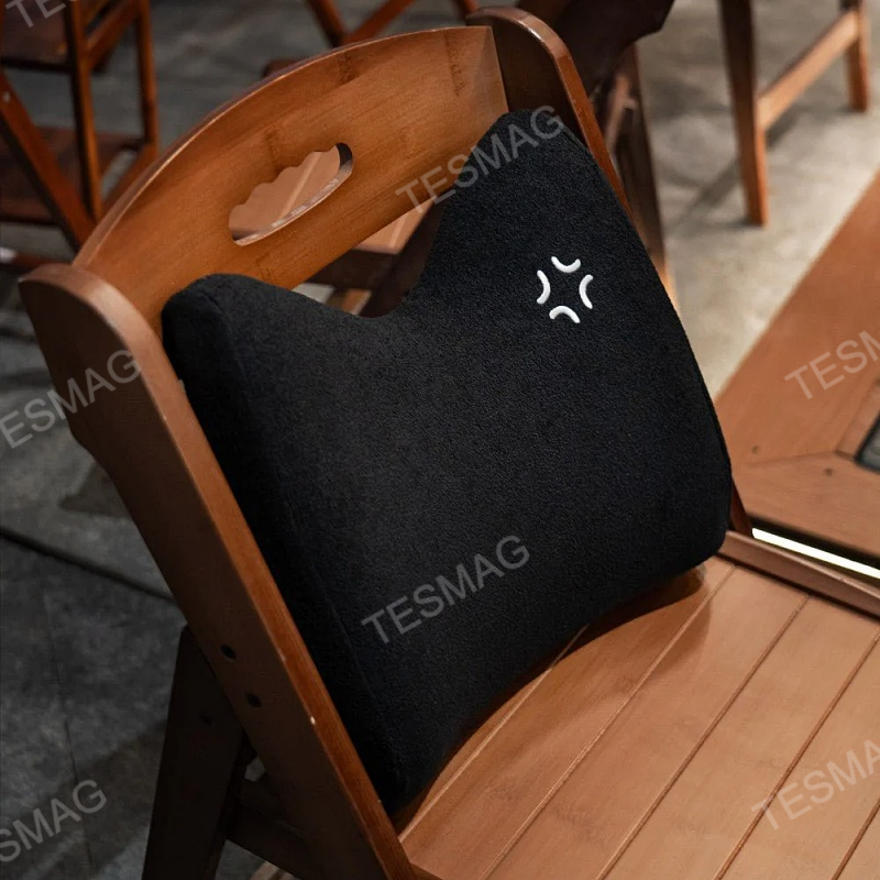 TITA Memory Foam Car Lumbar Support Cushion for Long Drives