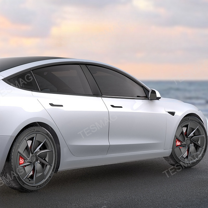 Tesla Model 3 Highland 19" Rim Protect