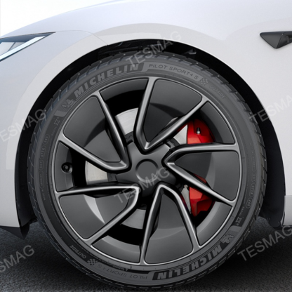 Tesla Model 3 Highland 19" Rim Protect