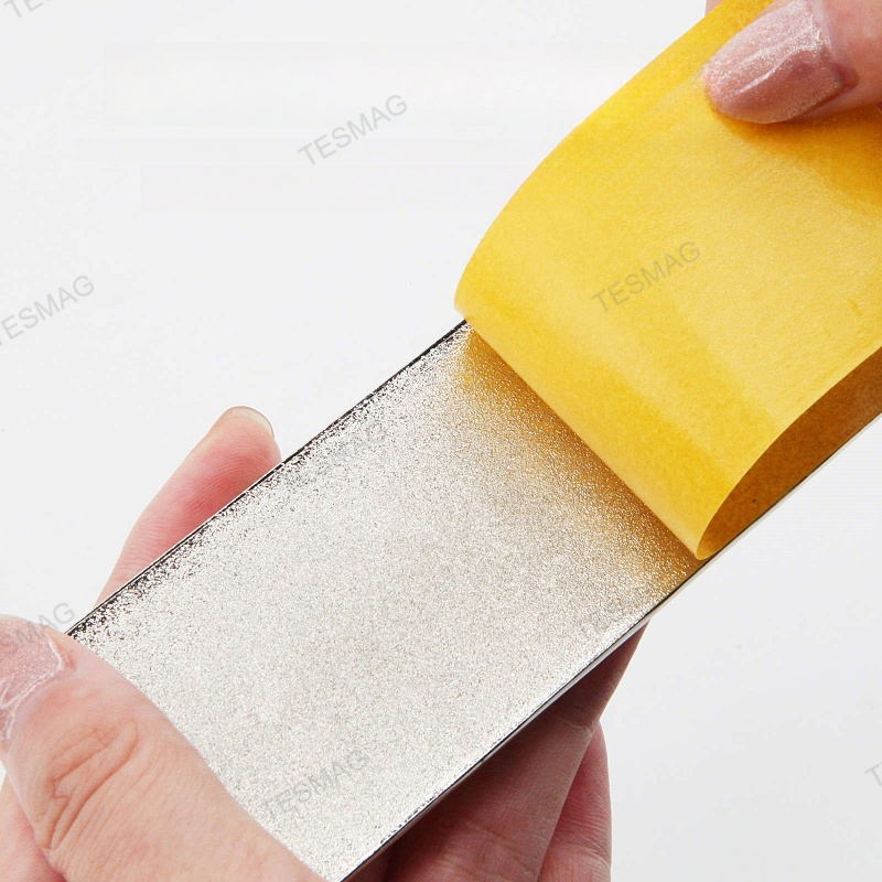 Tesla Performance Badge Logo