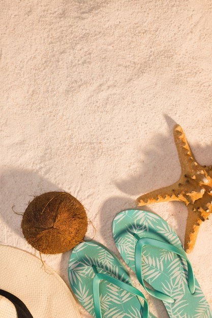 Beach Floppers