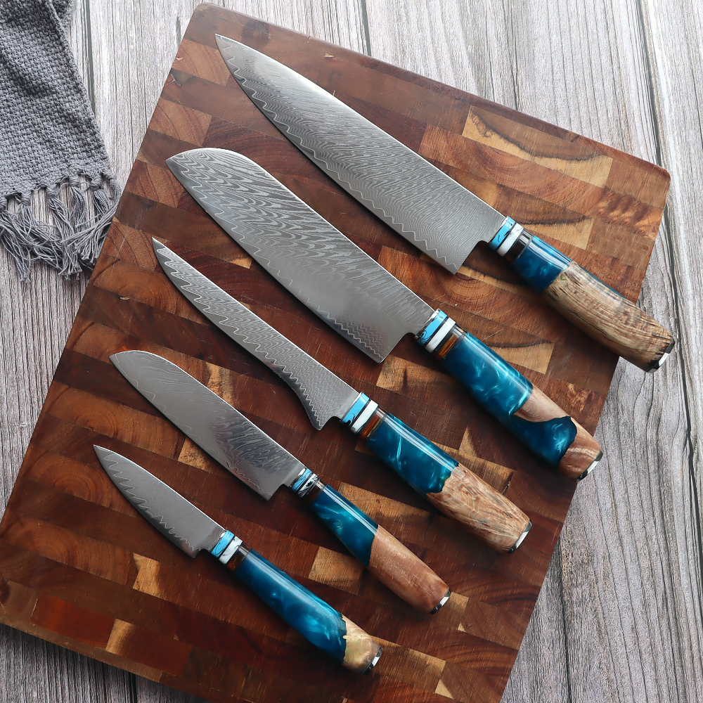 5-Piece Professional Japanese Damascus Knife Set