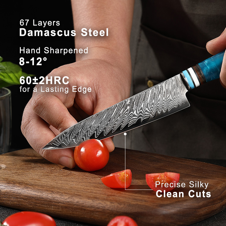 5-Piece Professional Japanese Damascus Knife Set
