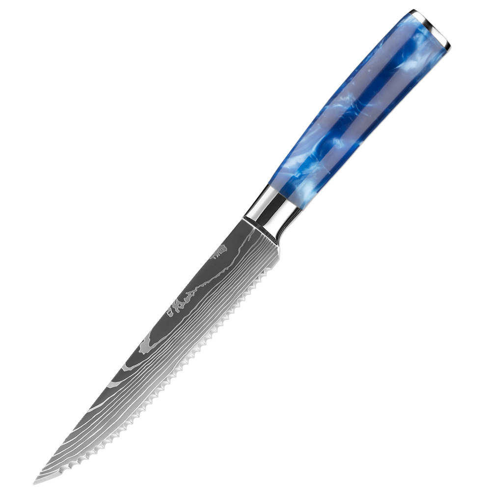 6 Piece Steak Knife Set with Blue Resin Handle