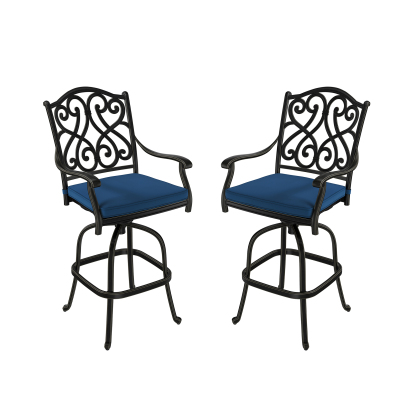 Set of 2 Patio Dining Chairs with Removable Olefin Cushion Cast Alumin