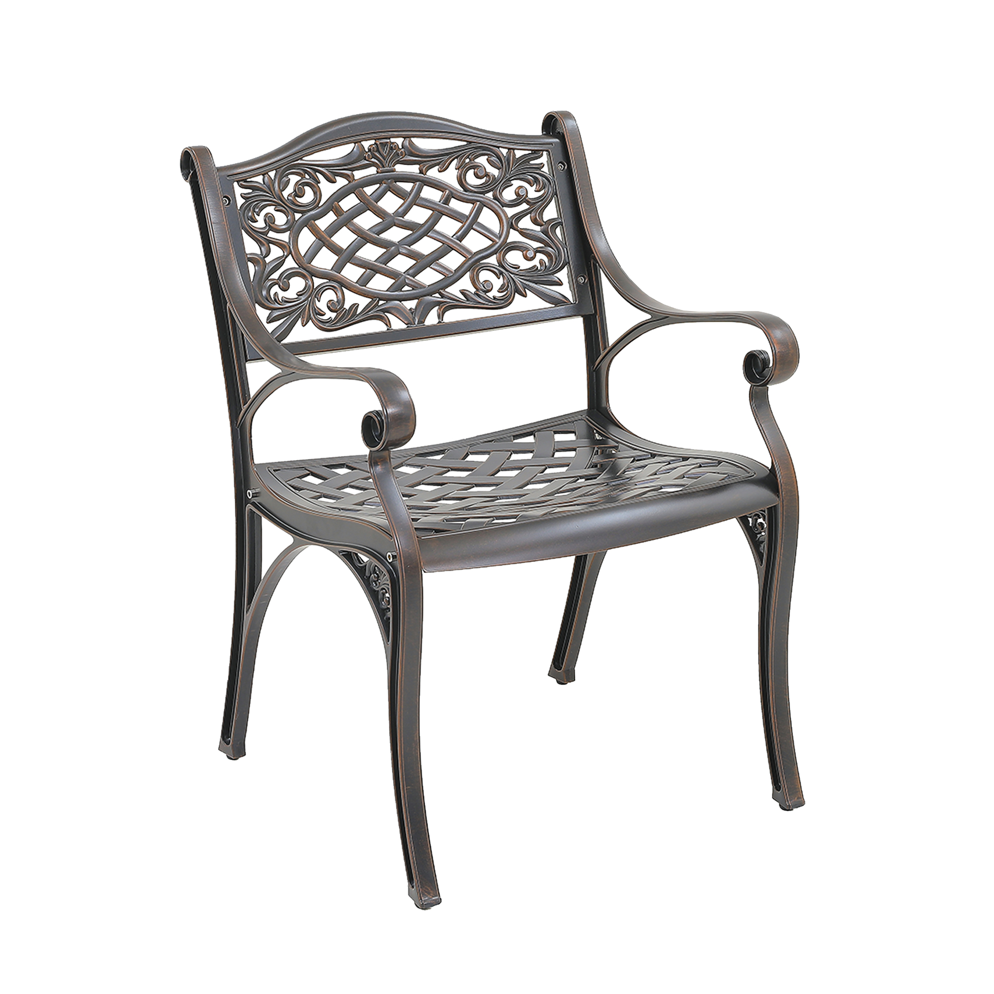 Set of 2 Cast Aluminum Stationary Dining Chairs